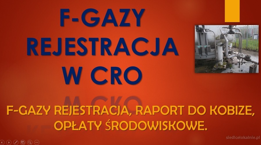 5_CRO_BDS_f-gazy_zgloszenie.jpg