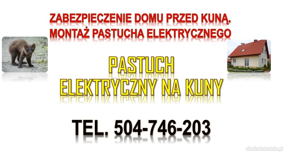 Zabezpieczenie przed kuną, tel. 504-746-203, pastuch elektryczny